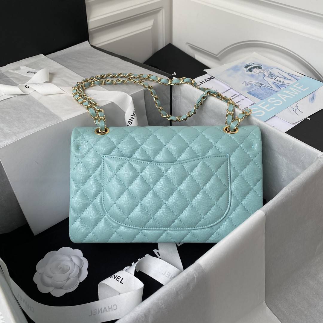 CH*ELClassic Flap Bag A01113, Top Quality, Medium Size: 23cm