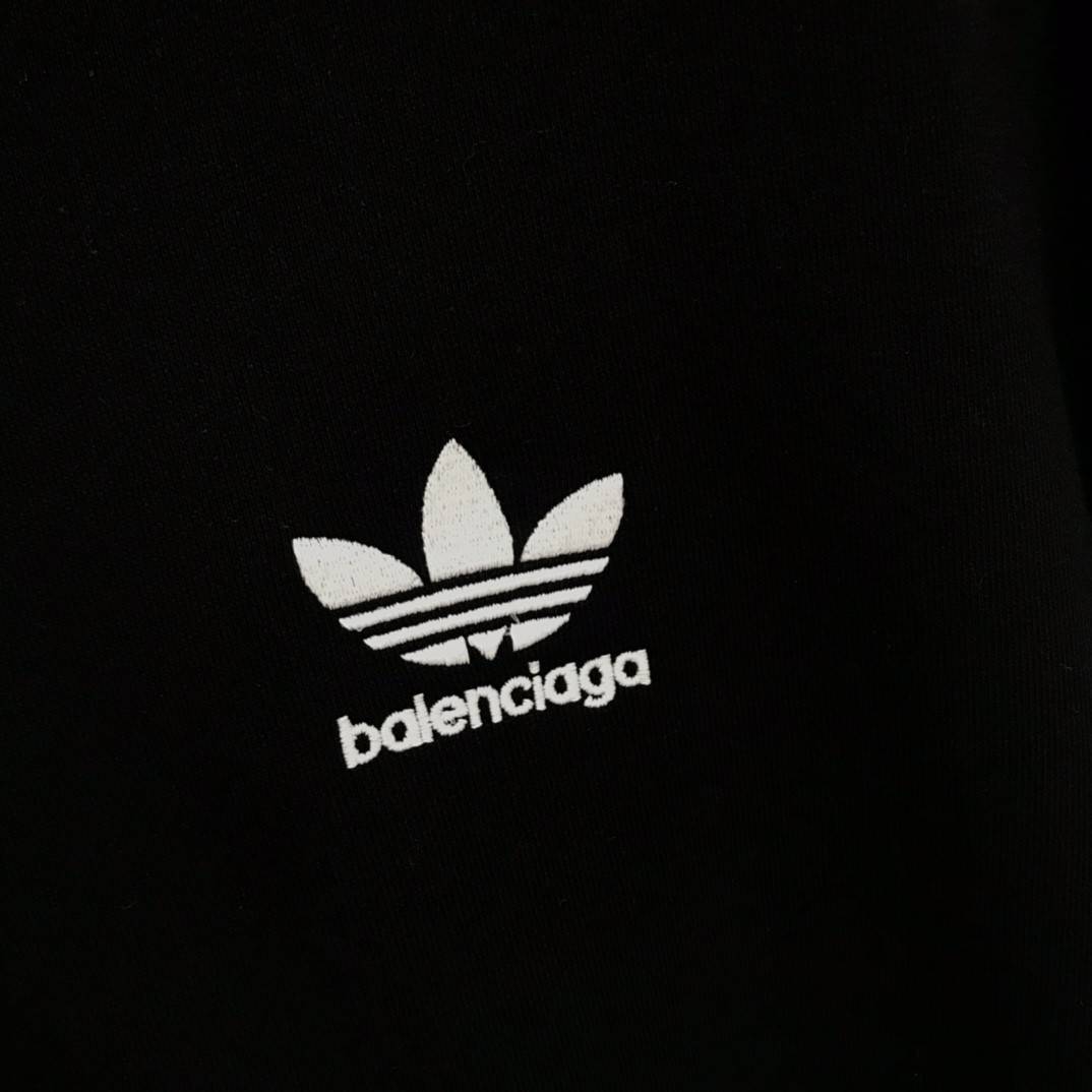 Ba1en*iaga Ardy Wiranata logo zipper hoodie