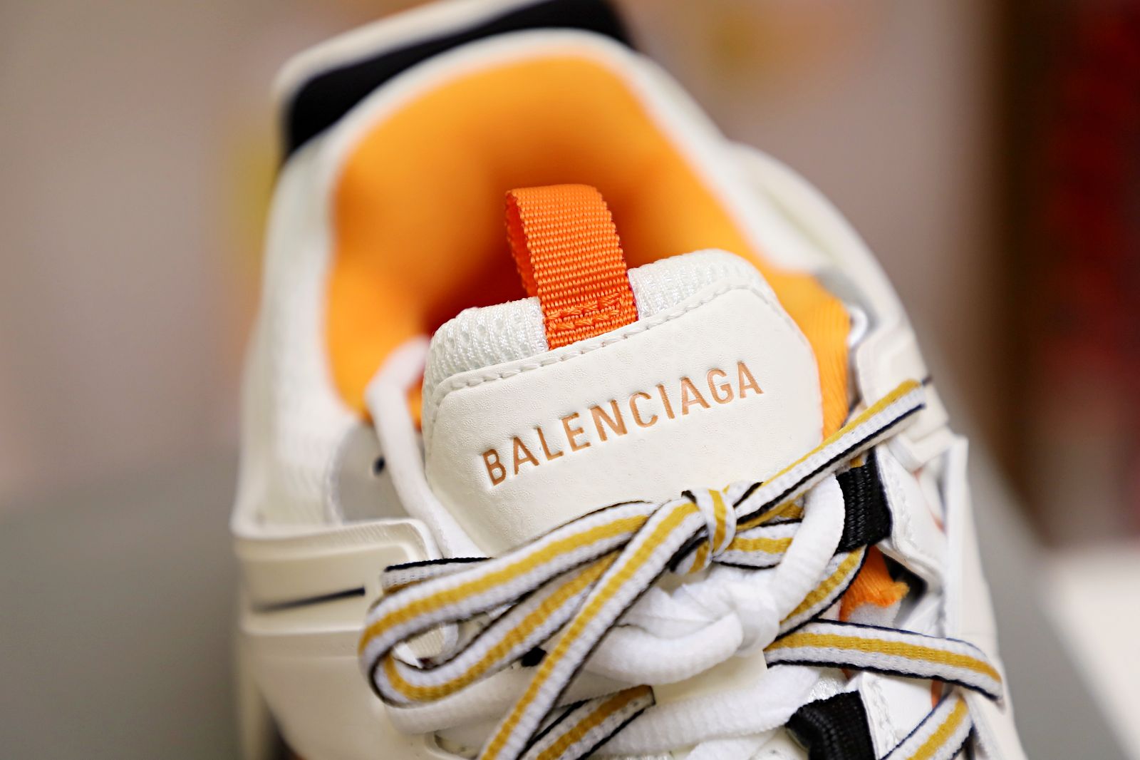 Ba1en*iaga TRACK TRAINER