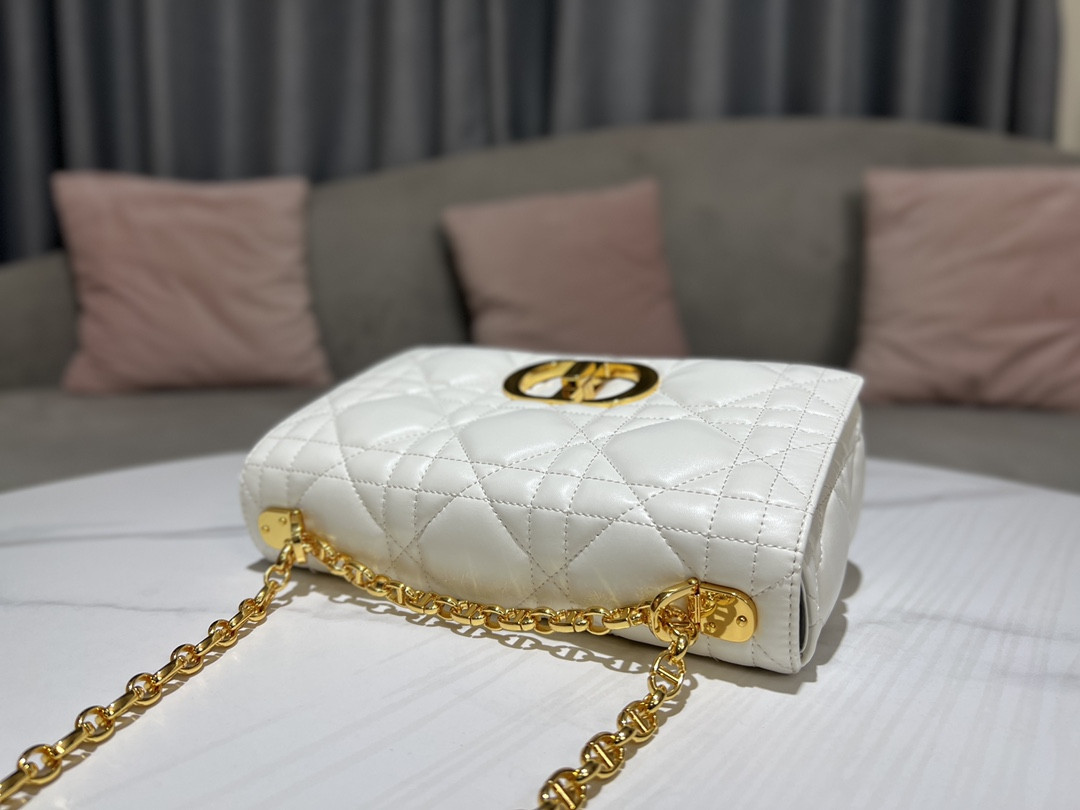 Medium D10r Caro Bag
