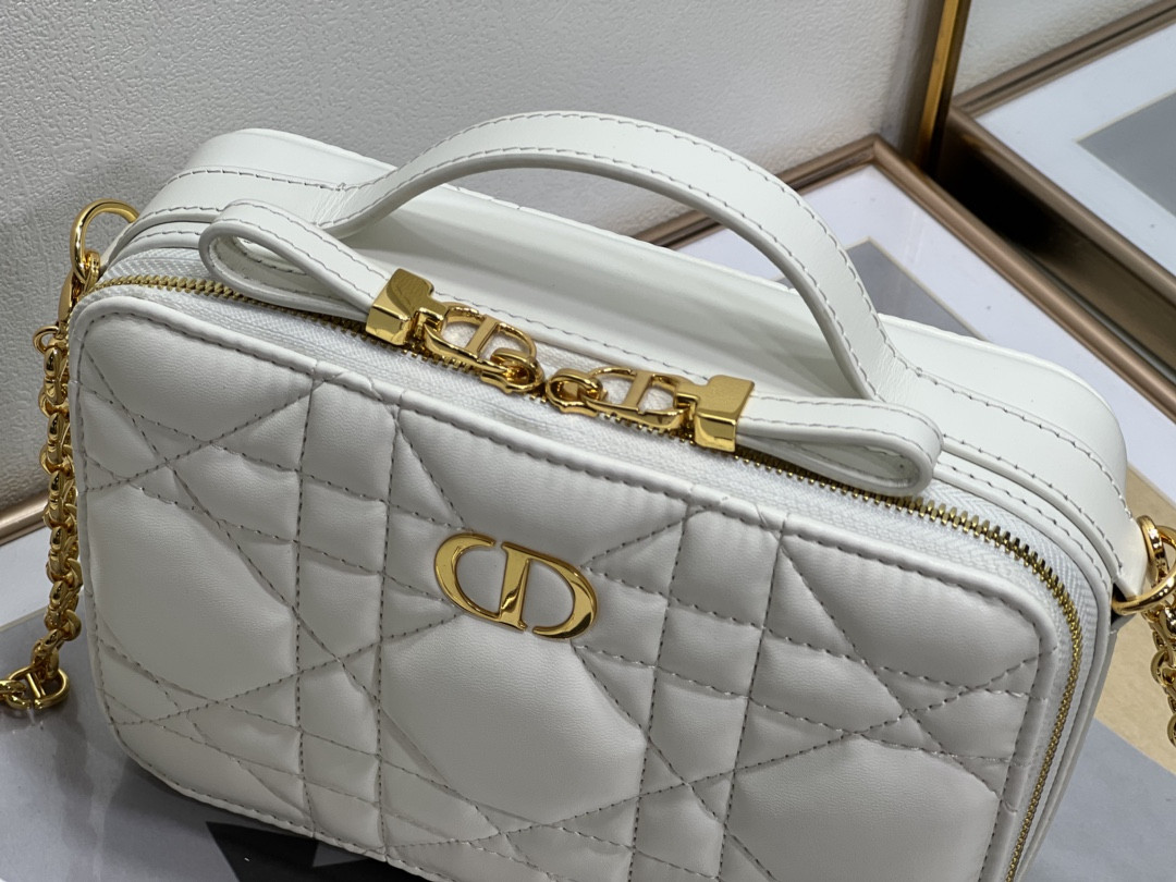 D10r Caro Box Bag