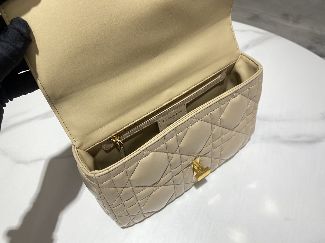 Medium D10r Caro Bag