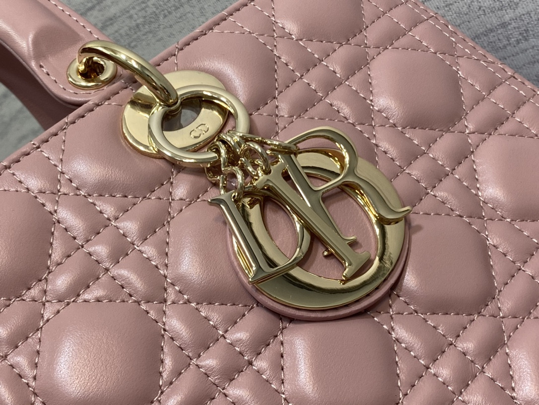 Large Lady D10r Bag