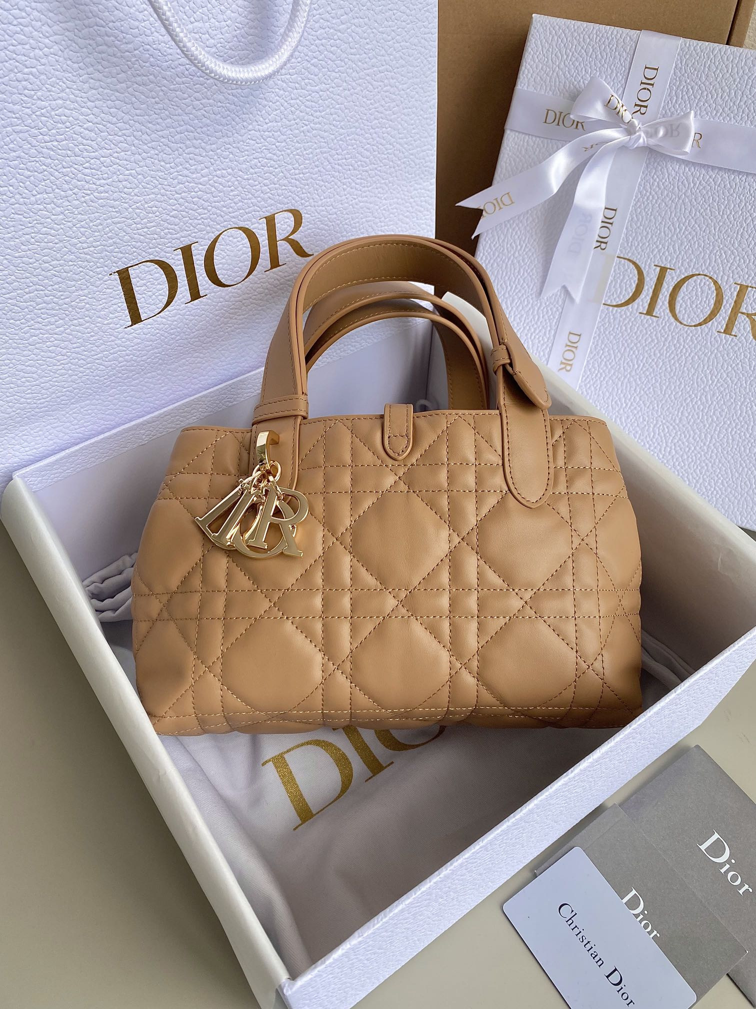 D10r Toujours Bag