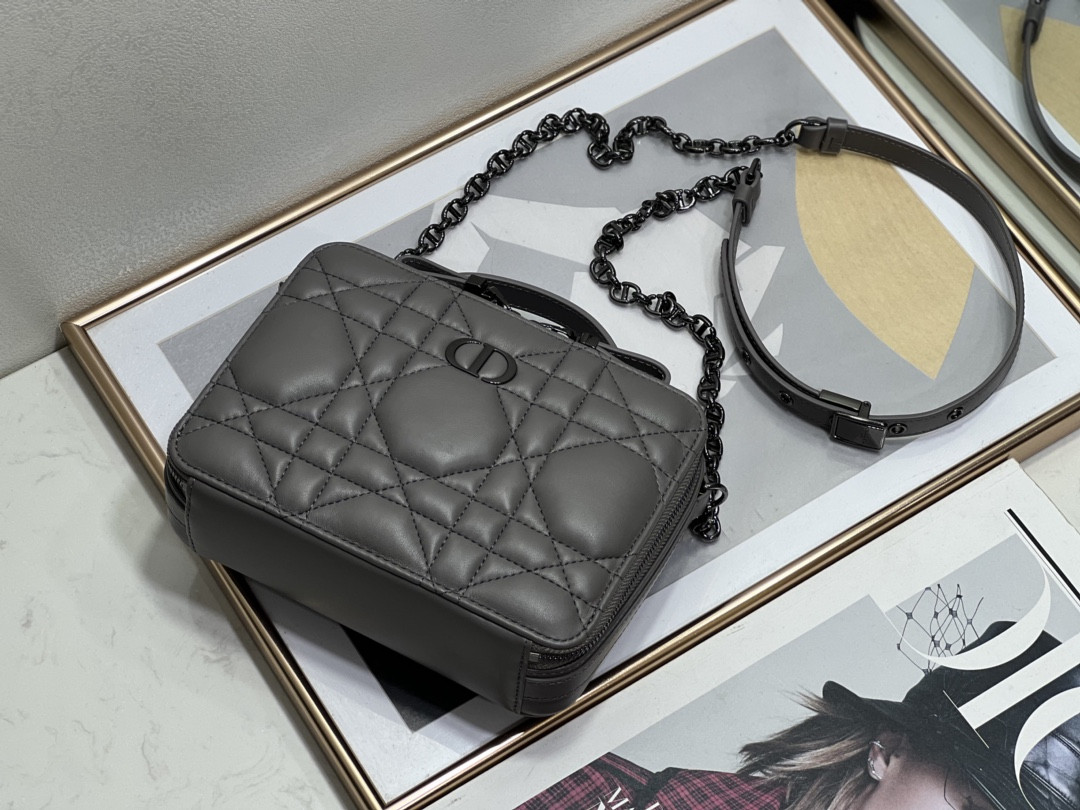 D10r Caro Box Bag