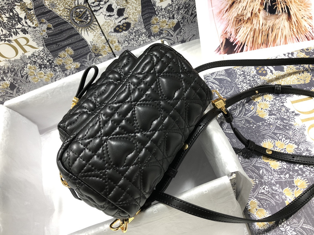 D10r Backpack