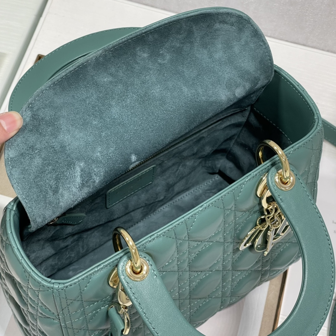 Medium Lady D10r Bag