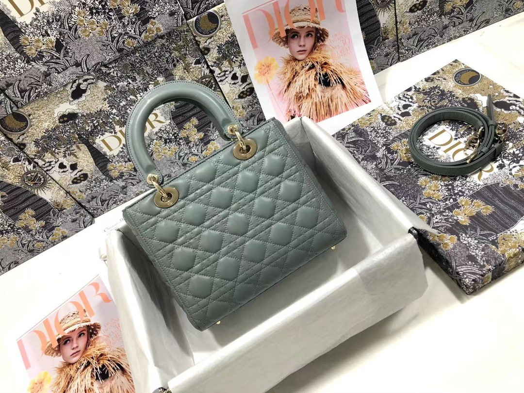 Medium Lady D10r Bag