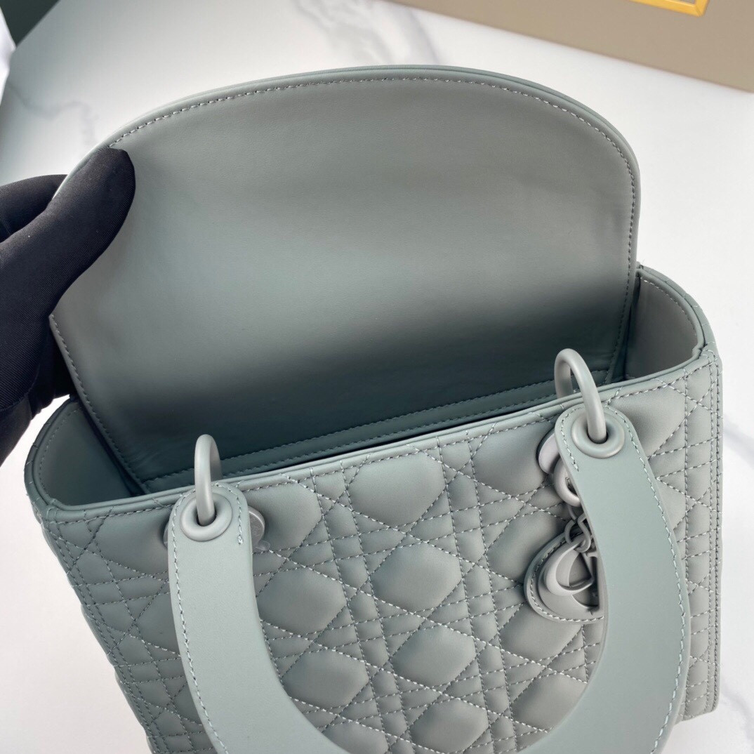 Medium Lady D10r Bag