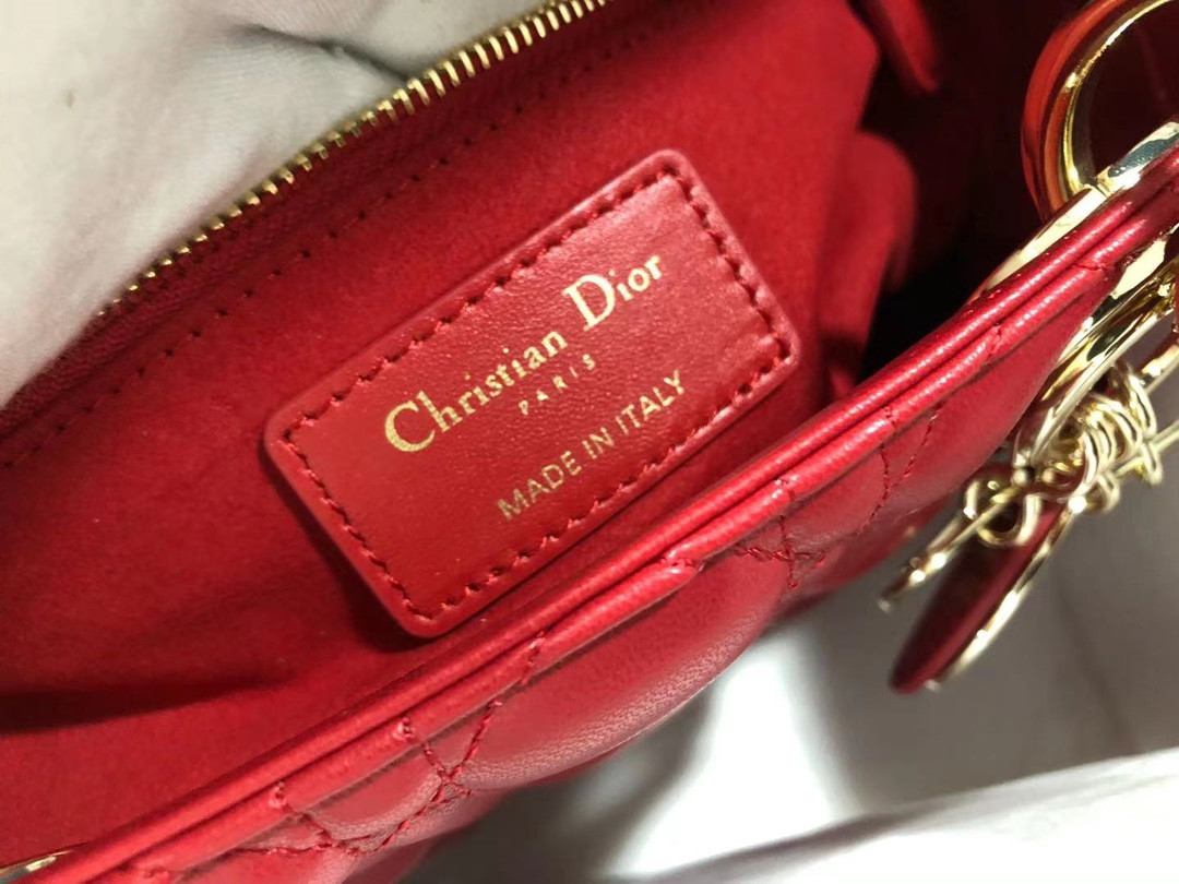 Medium Lady D10r Bag