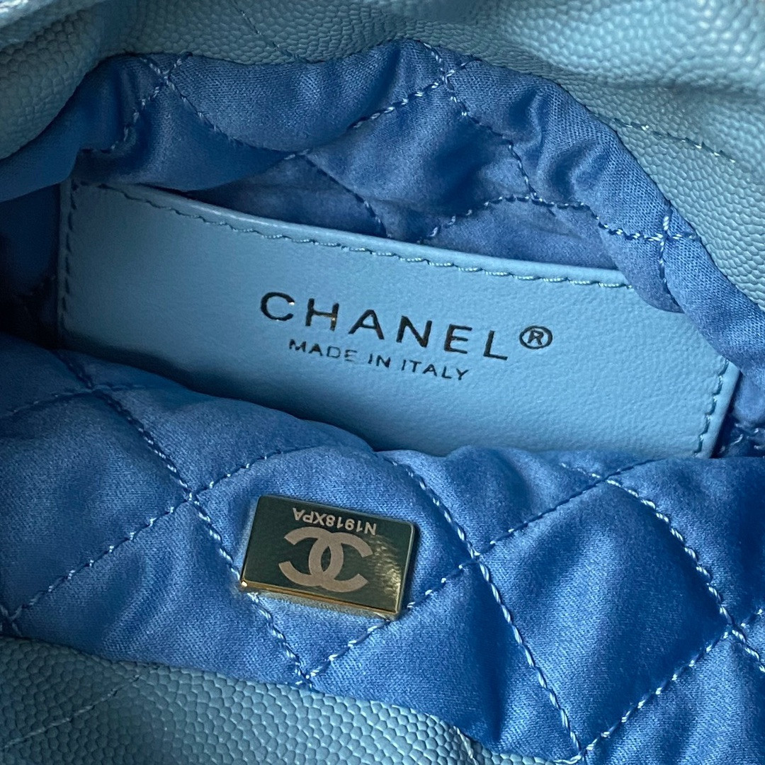 Chanle 22 Backpack Mini