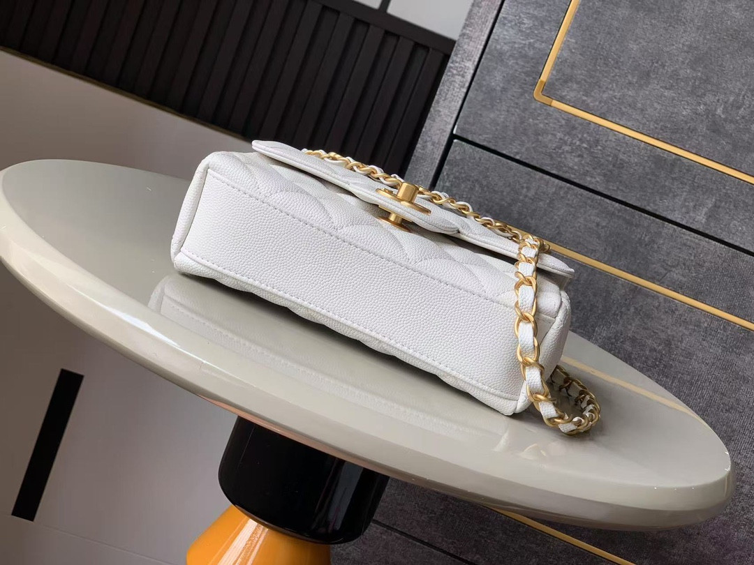 Ch**el 25p Classic Double Flap Bag