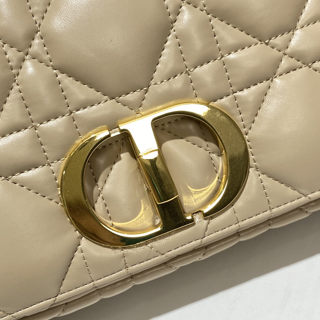 Medium D10r Caro Bag