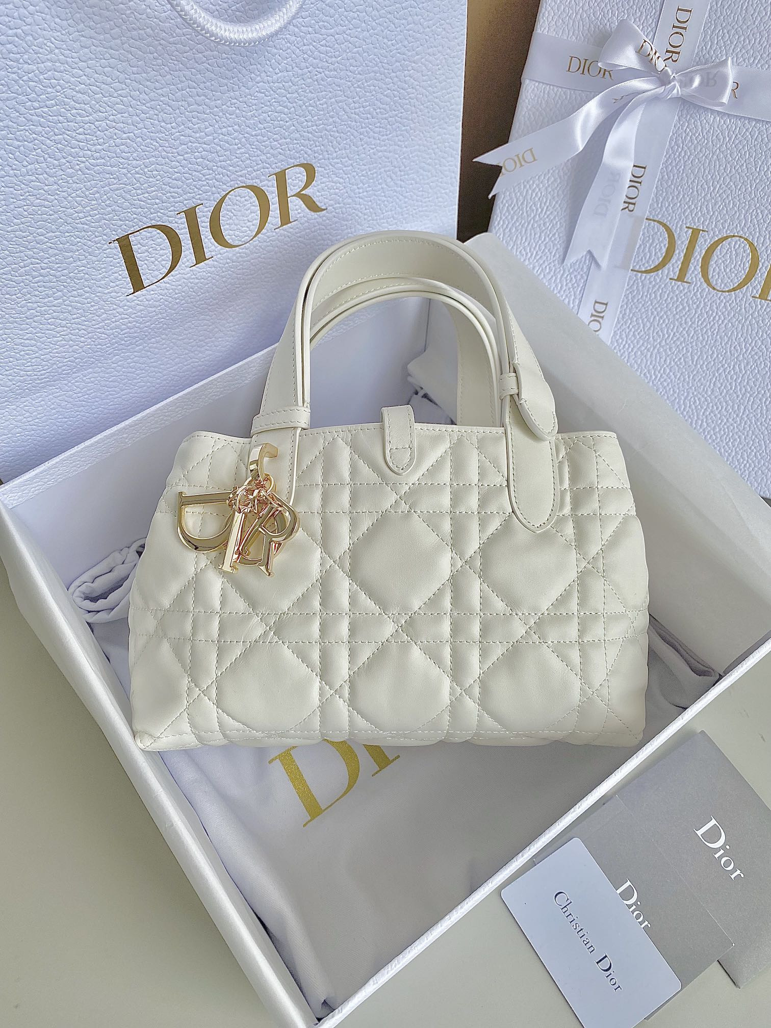 D10r Toujours Bag