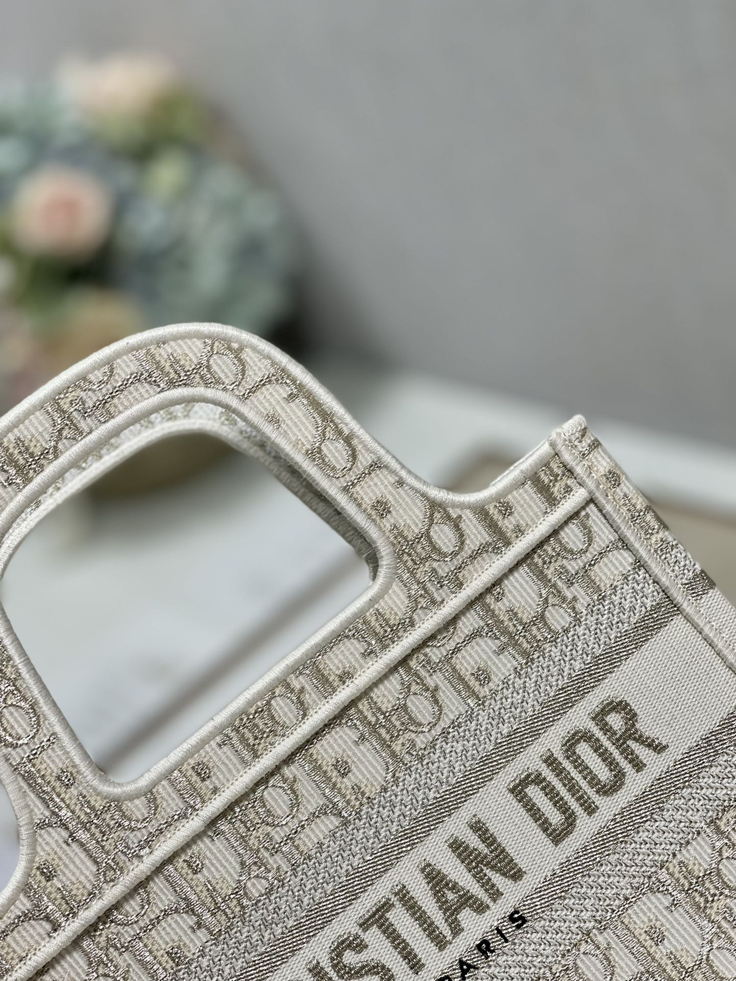 Mini D10r Book Tote