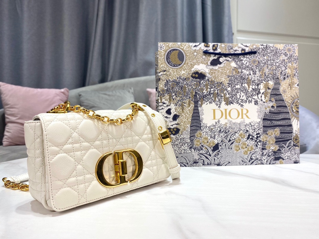 Small D10r Caro Bag