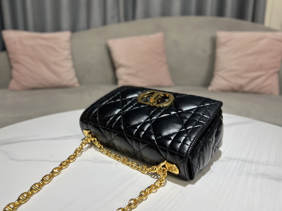 Medium D10r Caro Bag
