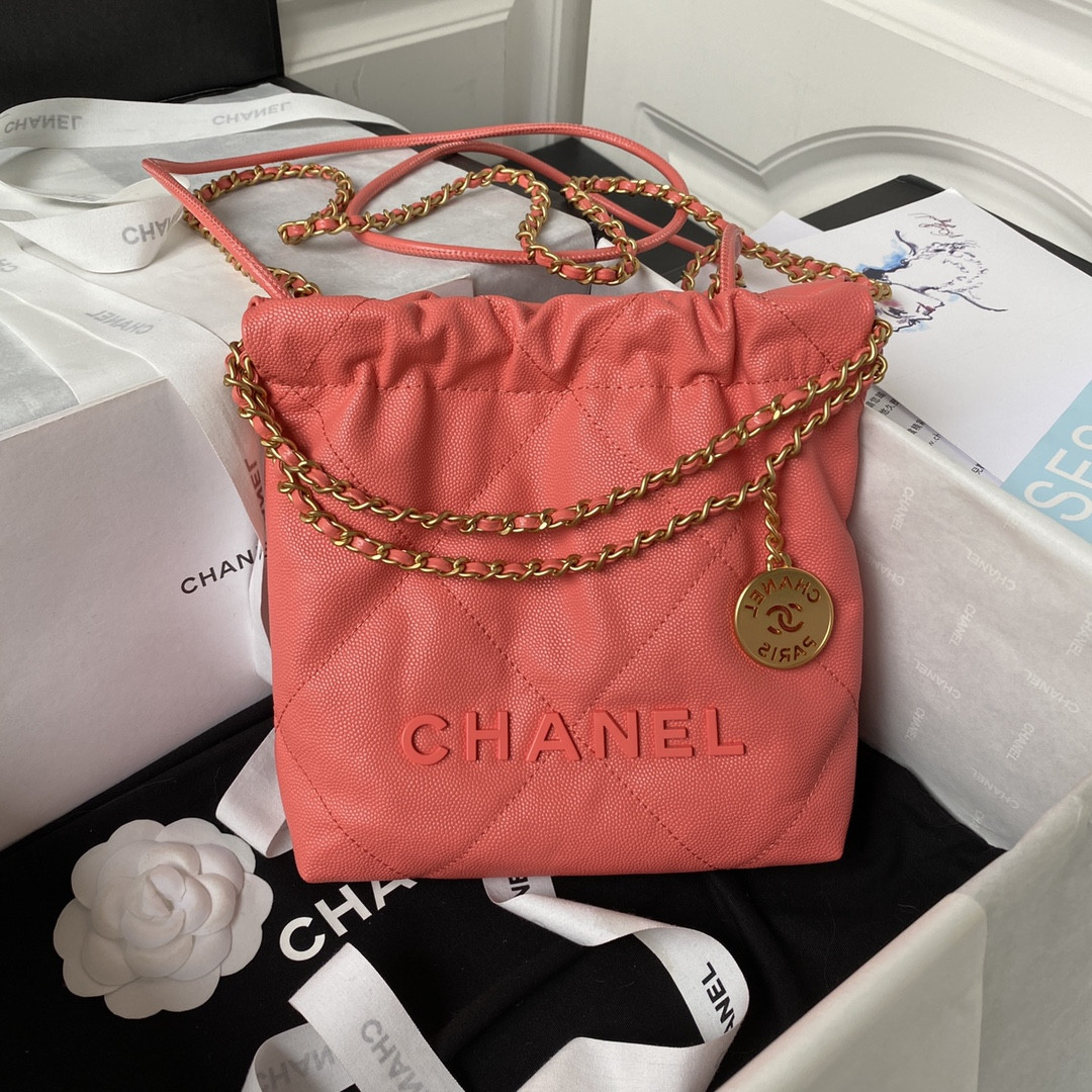 Chanle 22 Backpack Mini