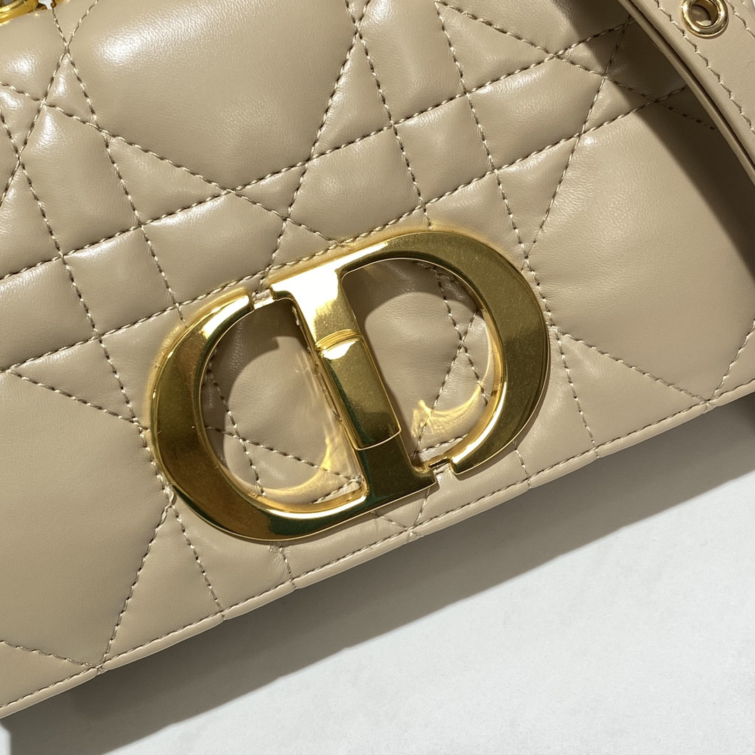 Small D10r Caro Bag