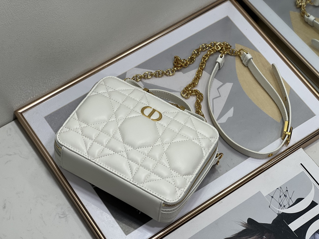D10r Caro Box Bag