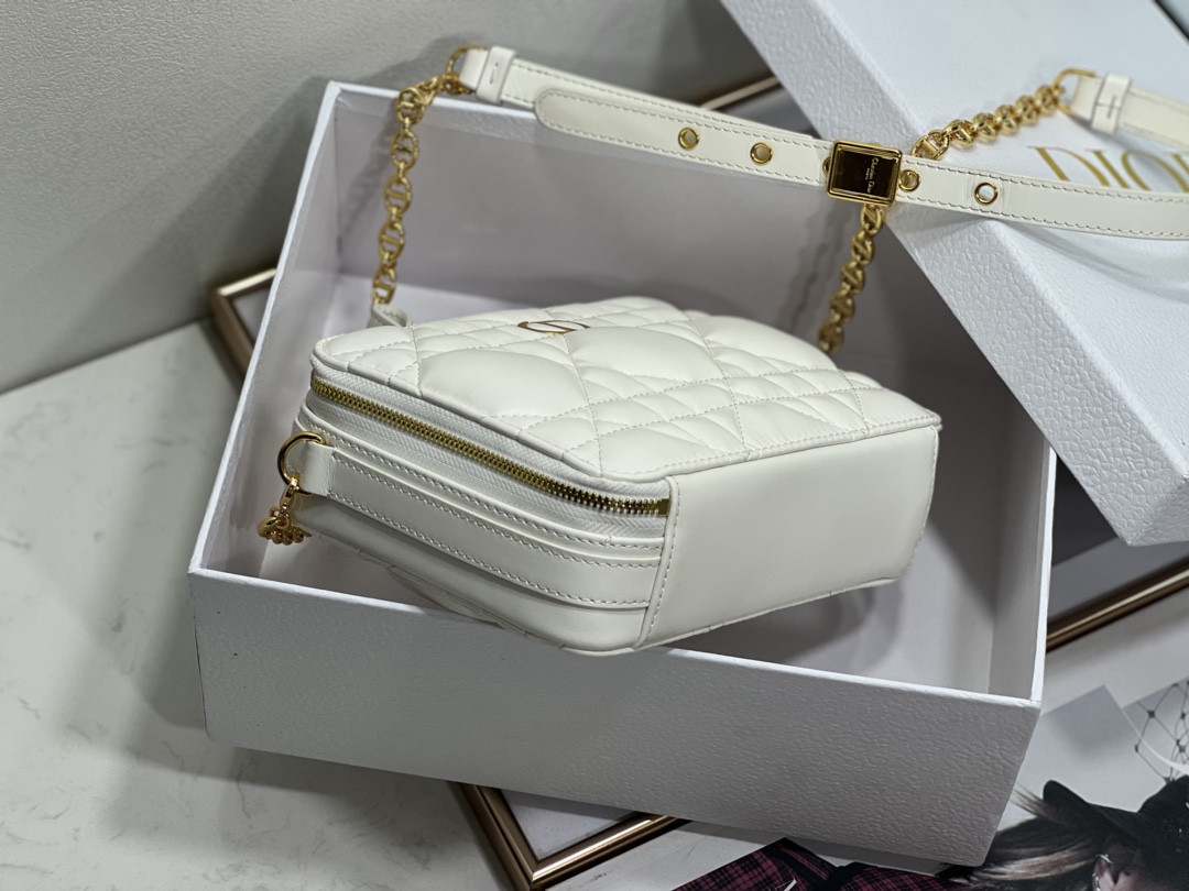 D10r Caro Box Bag