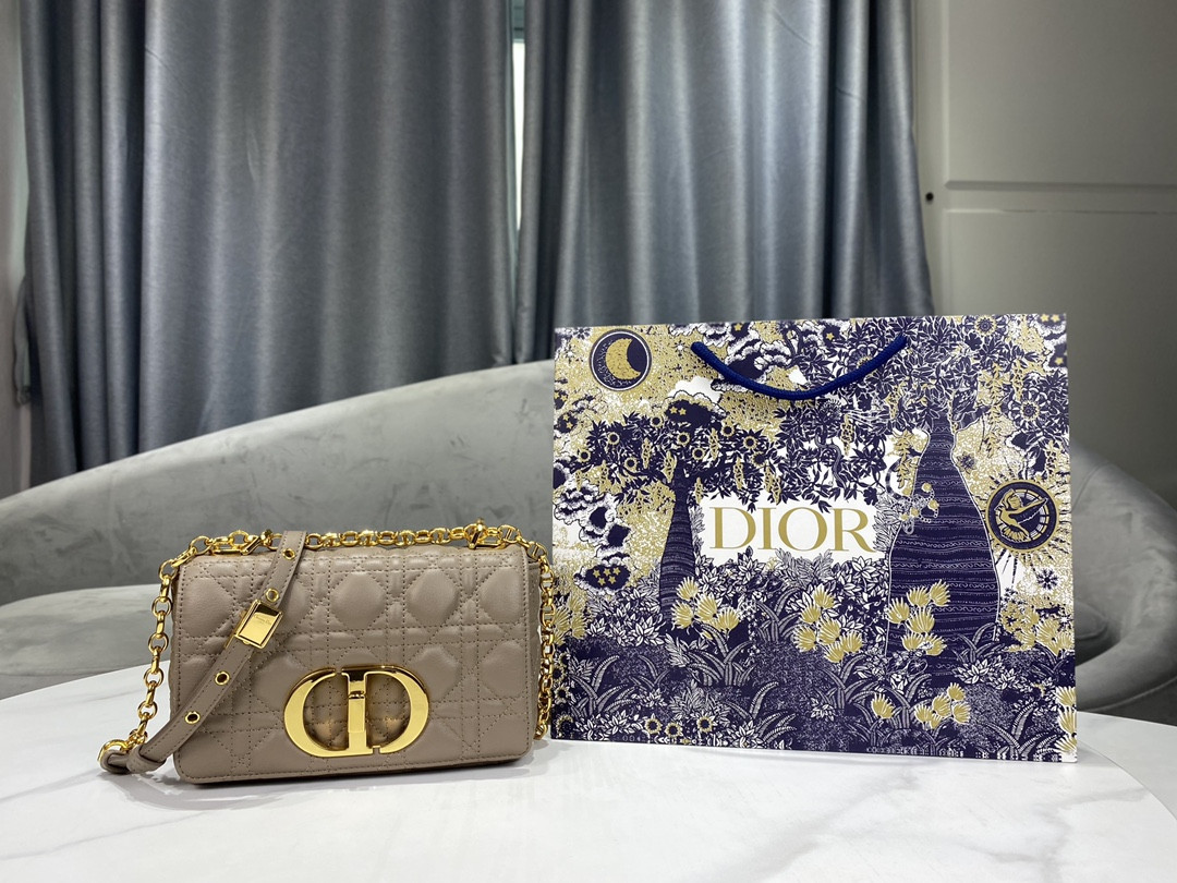 Small D10r Caro Bag