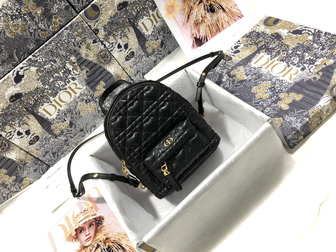 D10r Backpack