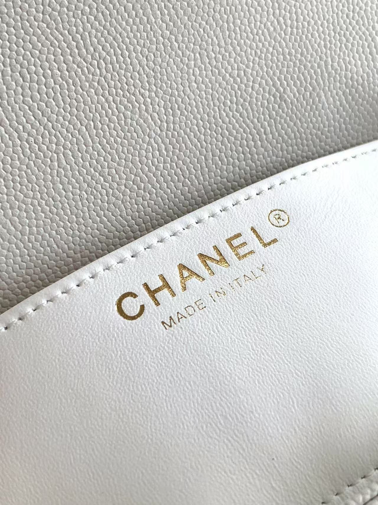 Ch**el 25p Classic Double Flap Bag