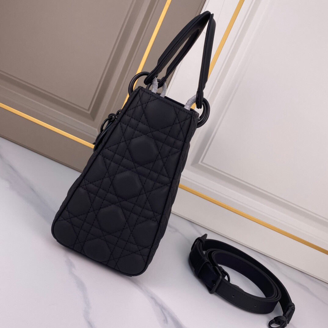 Medium Lady D10r Bag