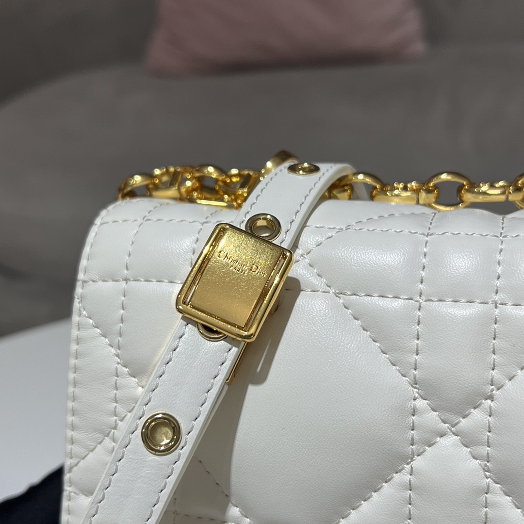 Medium D10r Caro Bag