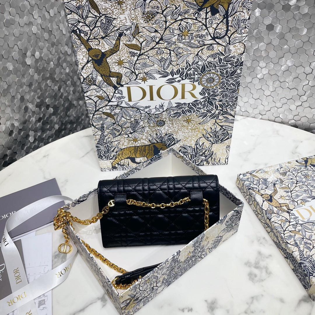 D10r Caro Pouch