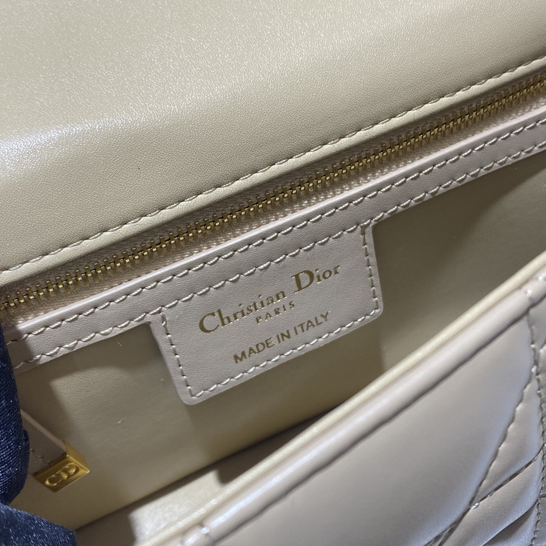 Small D10r Caro Bag