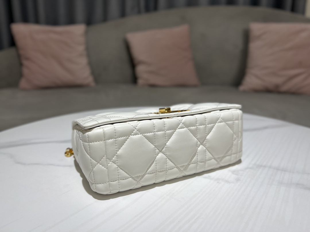 Medium D10r Caro Bag