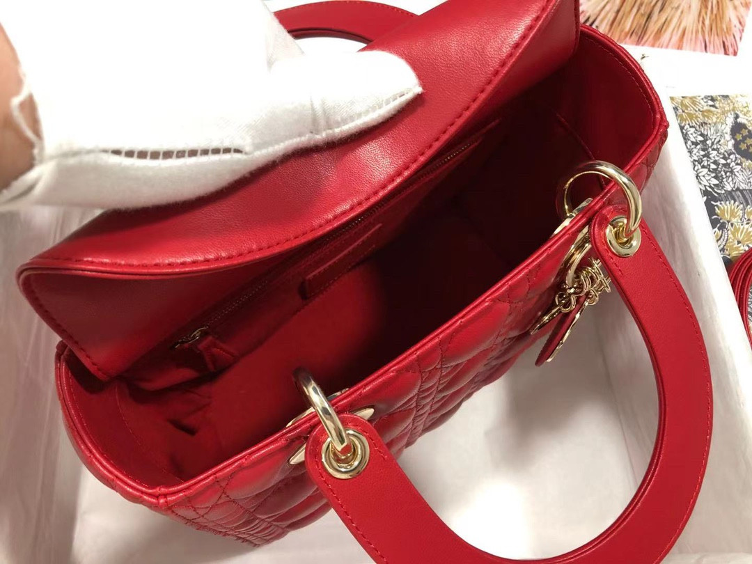 Medium Lady D10r Bag