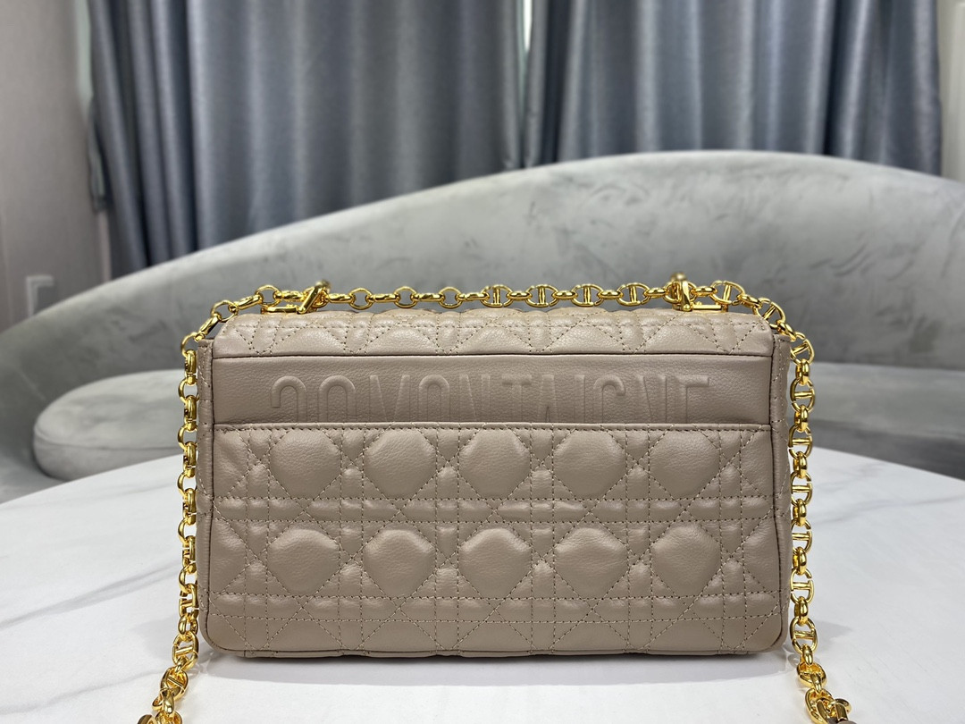 Medium D10r Caro Bag