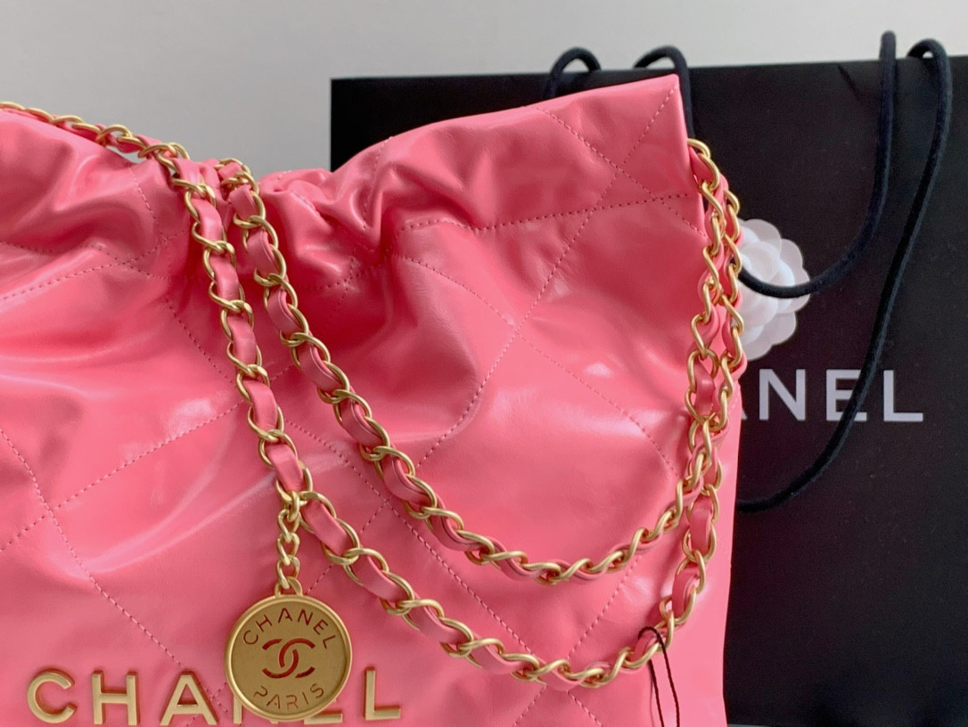 Chanle 22 Backpack