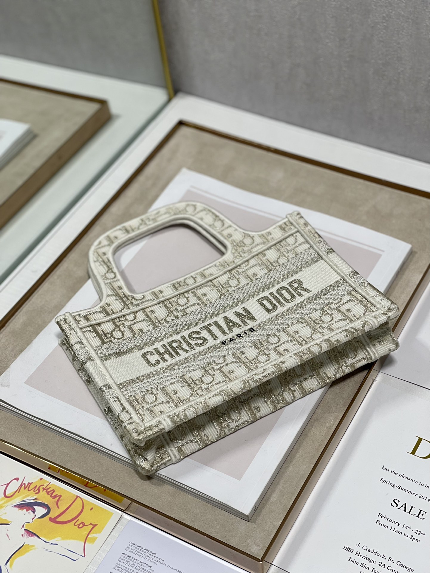 Mini D10r Book Tote