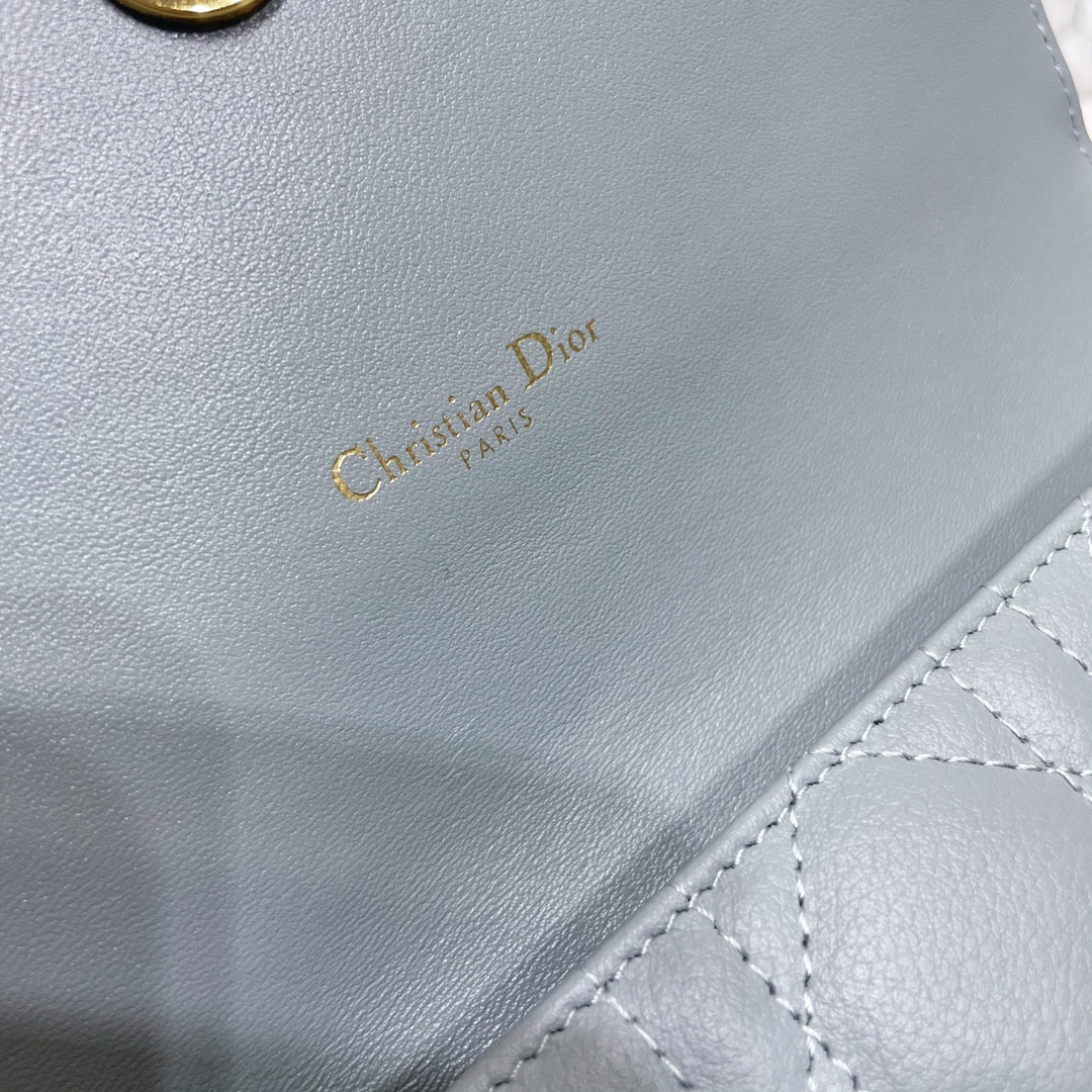D10r Caro Pouch