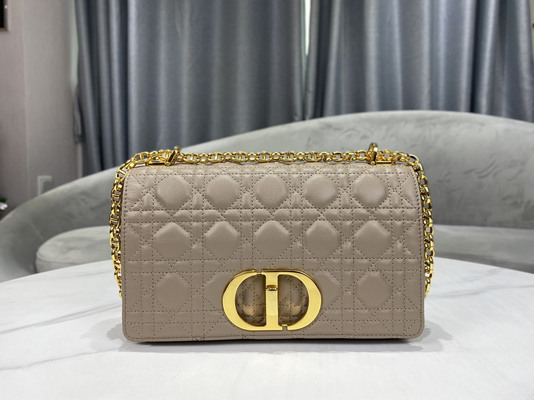 Medium D10r Caro Bag