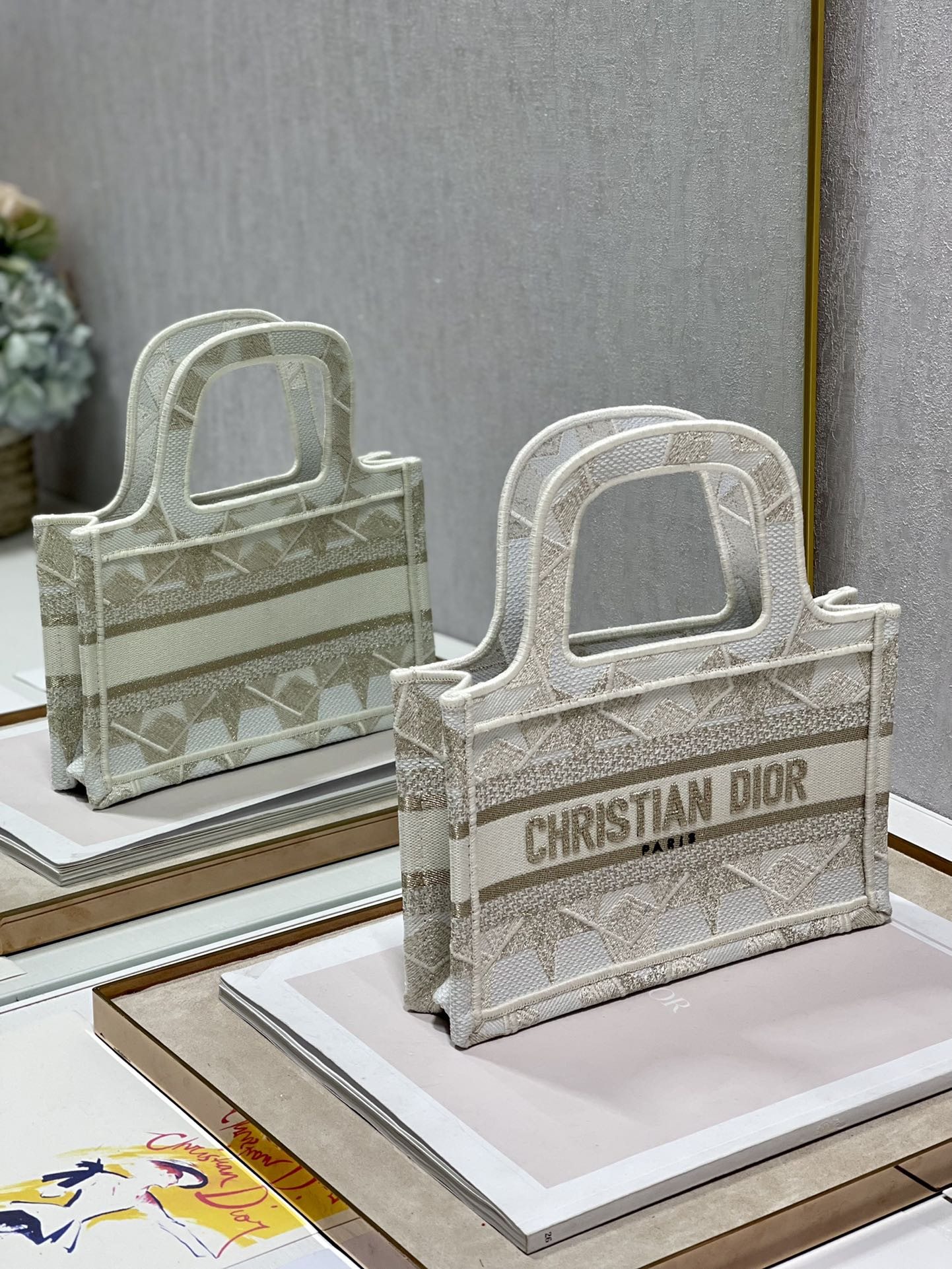 Mini D10r Book Tote