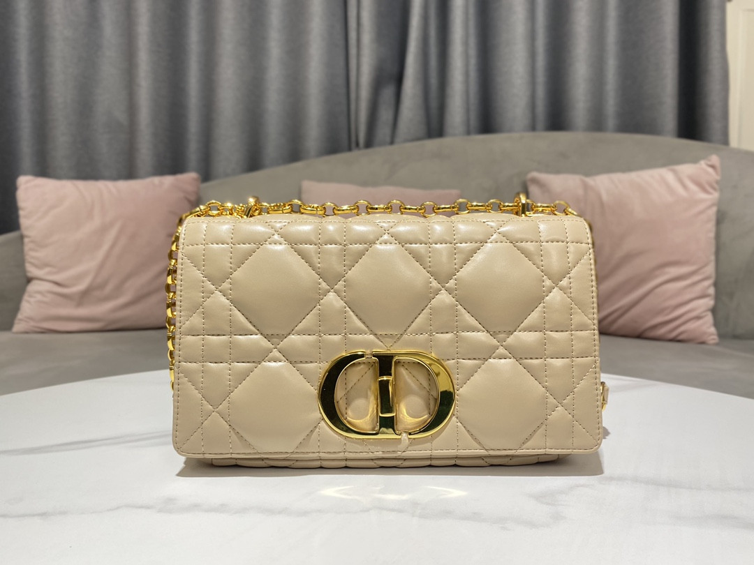 Medium D10r Caro Bag