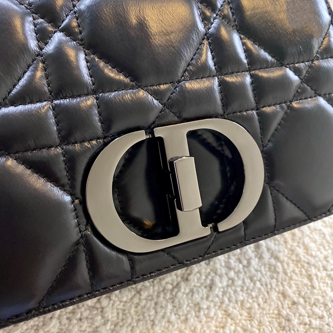 Small D10r Caro Bag