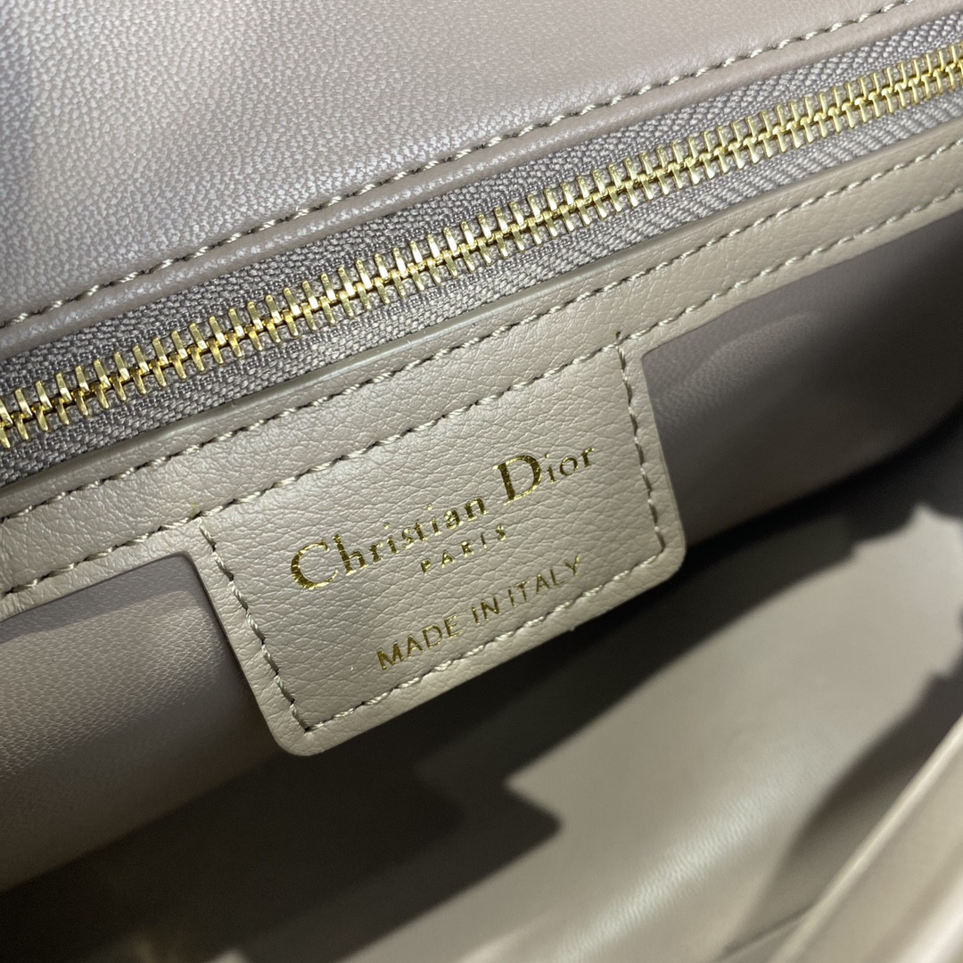 Medium D10r Caro Bag