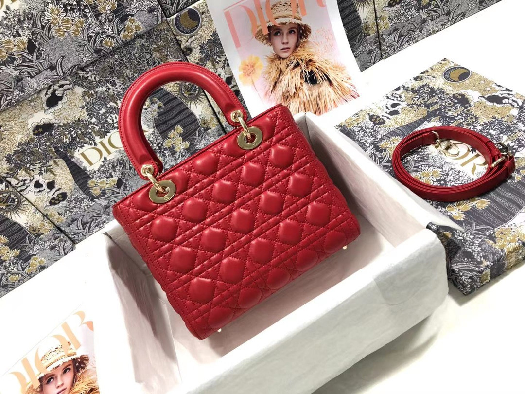Medium Lady D10r Bag