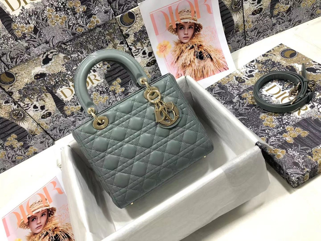 Medium Lady D10r Bag