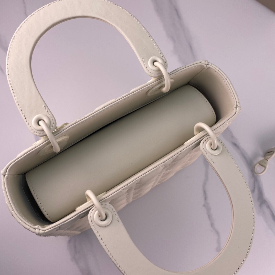 Medium Lady D10r Bag