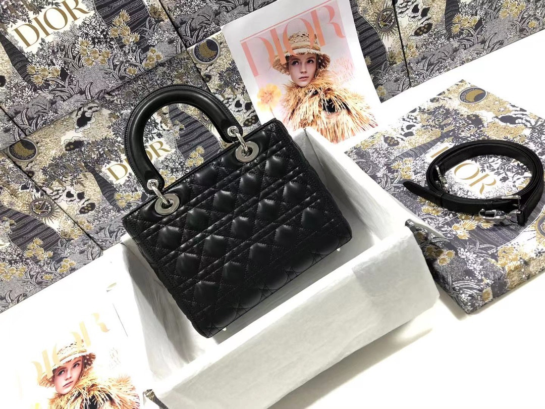 Medium Lady D10r Bag