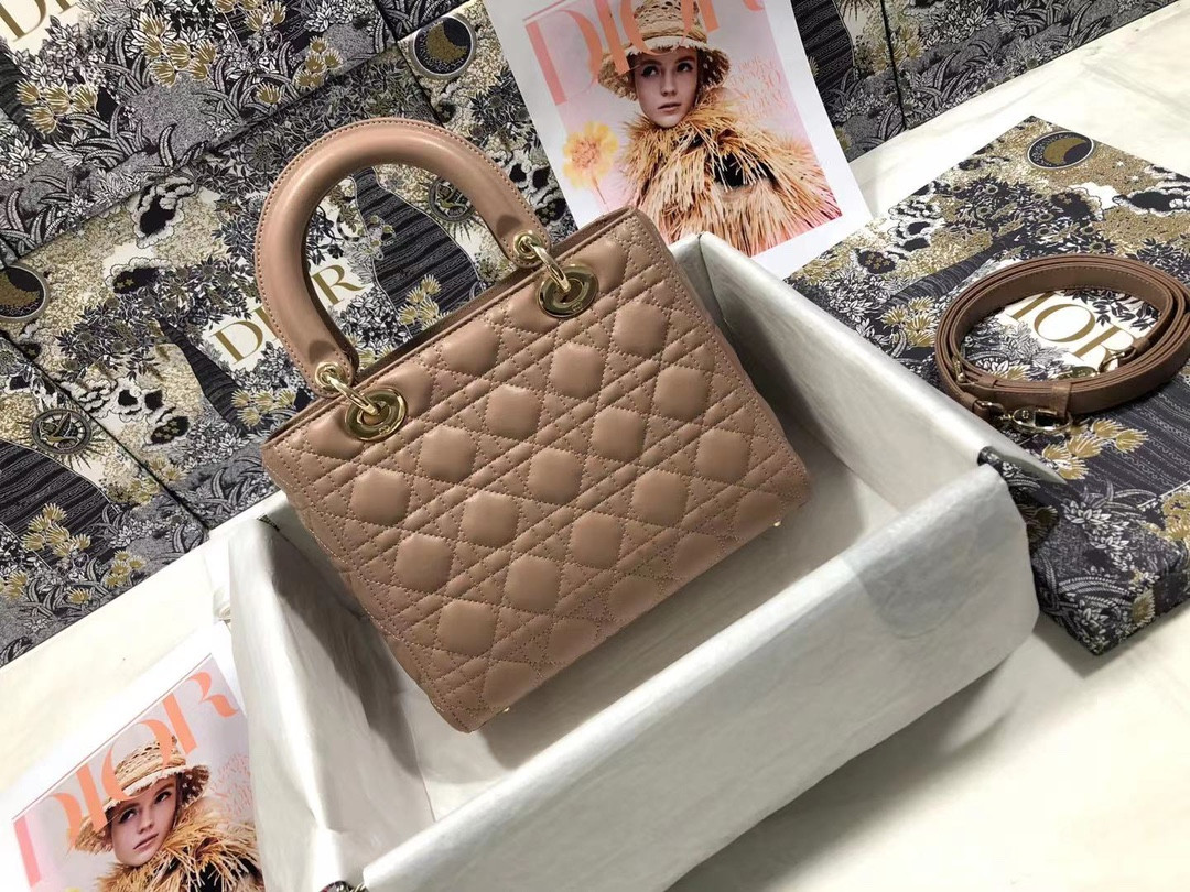 Medium Lady D10r Bag