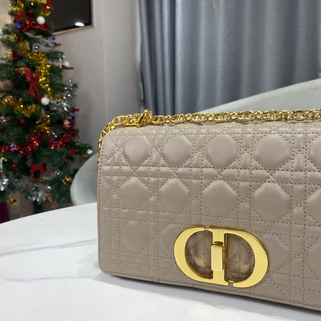 Medium D10r Caro Bag