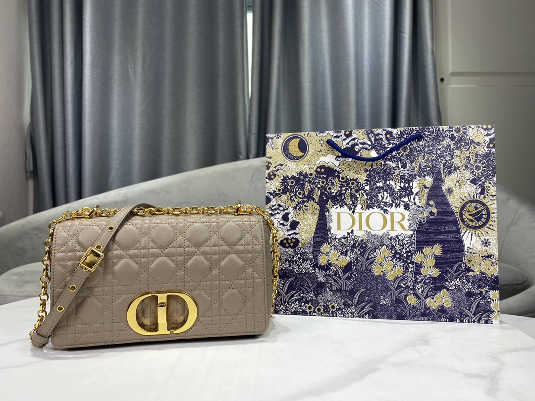 Medium D10r Caro Bag